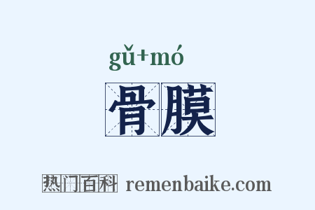 骨膜是什么意思的图片